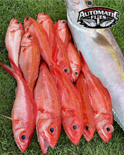 Deep Seven Odori Ebi