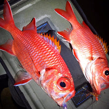 Red Fish Dreams Menpachi Flies
