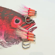 Deep Seven Odori Ebi