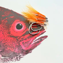 Deep Seven Odori Ebi