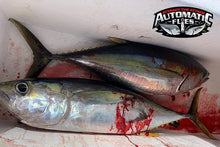 AHI Barf V2 - 2 pack