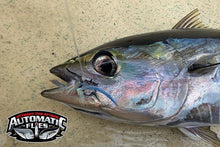 AHI Barf V2 - 2 pack