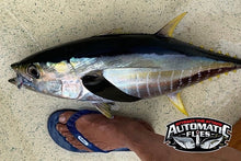 AHI Barf V2 - 2 pack