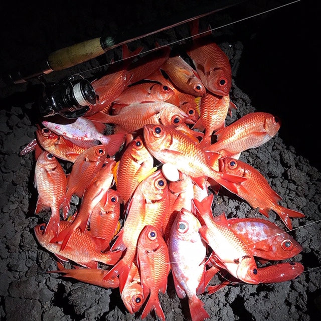 Red Fish Dreams - Menpachi & Aweoweo Flies β Automatic Flies