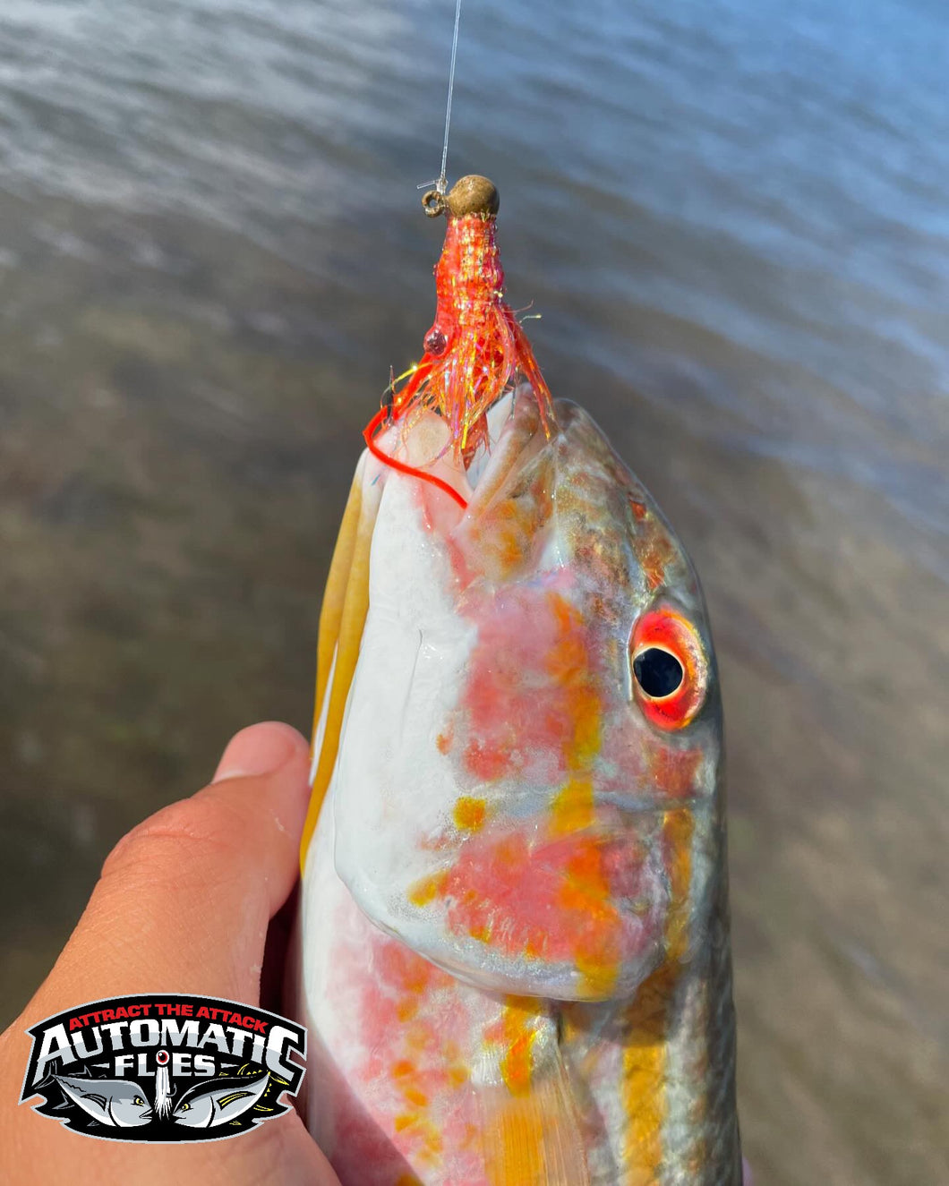 automatic lure fishing hook PVC Hook: Reel in Your Big Catch Effortlessly! Fishcampvietnam allowing you to focus on the of fishing Suitable for All Kinds of Fish Hooks Rod Hook Fishing Lure Hook