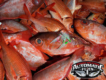 Red Fish Dreams - Menpachi & Aweoweo Flies
