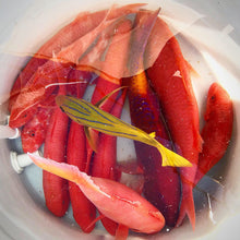 S&P Shrimps
