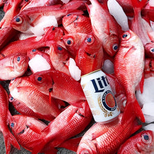 RFD - Red Fish Dreams Menpachi Flies