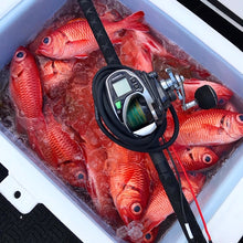 RFD - Red Fish Dreams Menpachi Flies
