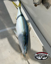 AHI Barf V2 - 2 pack