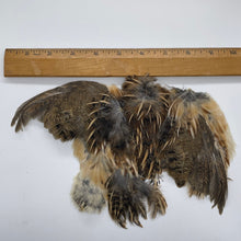 Chicky Bone Farms Quail Hackle