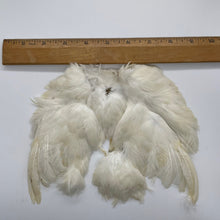 Chicky Bone Farms Quail Hackle