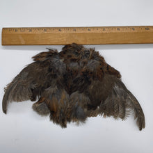 Chicky Bone Farms Quail Hackle