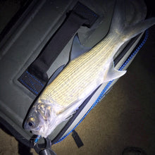 RFD - Red Fish Dreams Menpachi Flies