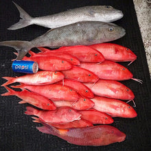 S&P Shrimps