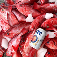 RFD - Red Fish Dreams Menpachi Flies