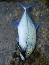Karasu