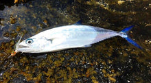 Yuwaku