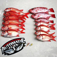 RFD - Red Fish Dreams Menpachi Flies