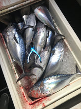 Bloodlust Assist Hooks - 7/0 Jigging Series