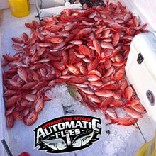 RFD - Red Fish Dreams Menpachi Flies
