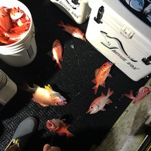 RFD - Red Fish Dreams Menpachi Flies