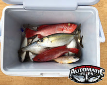 RFD - Red Fish Dreams Menpachi Flies